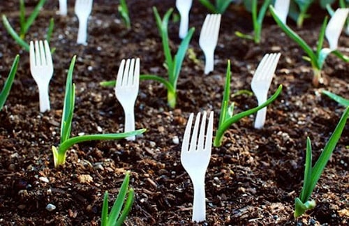 HALTEN SIE NAGETIERE MIT PLASTIKGABELN FERN