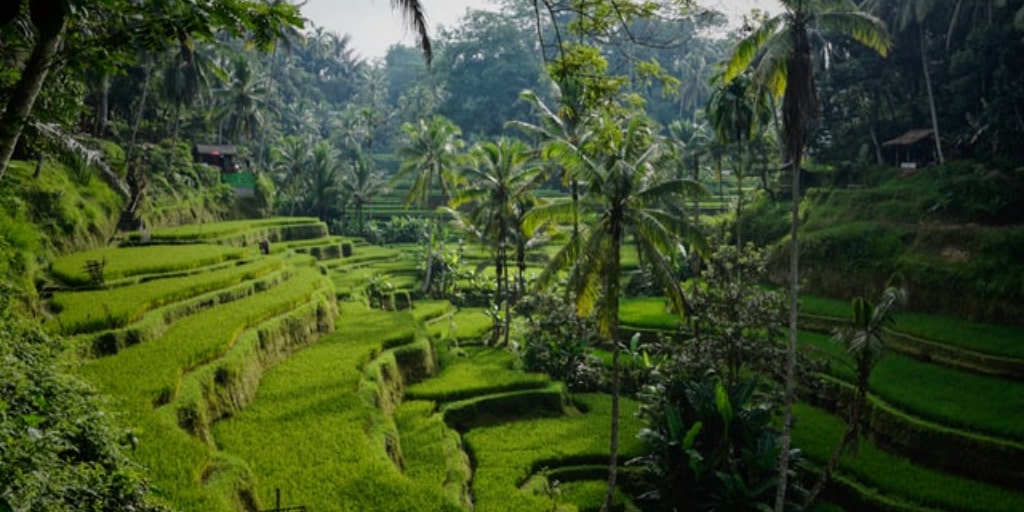 Bali