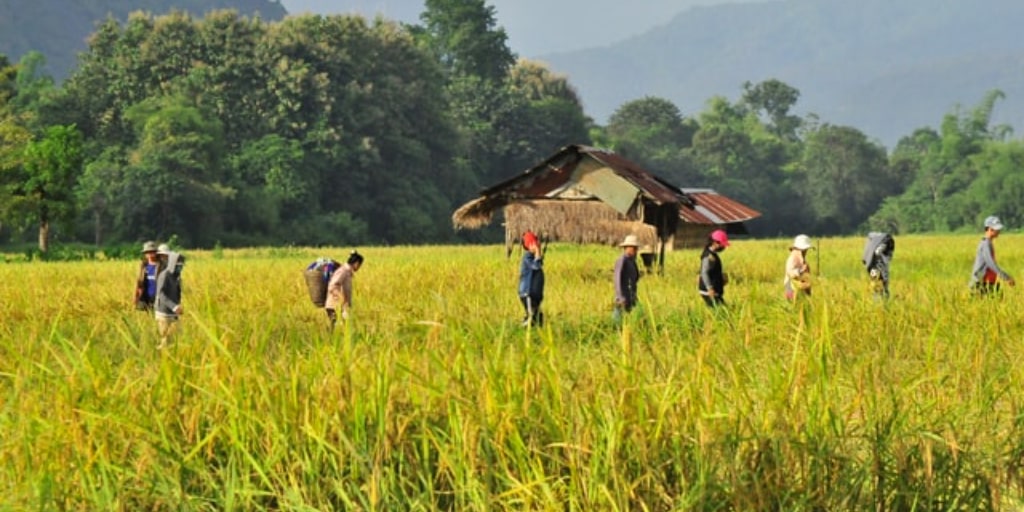 Vang Vieng